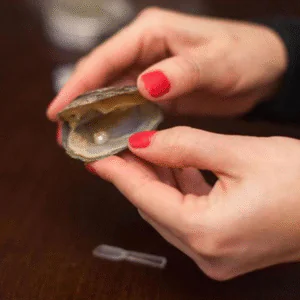 Oyster Pearl Necklace Kit – Hidden Pearl Surprise Gift