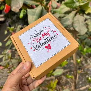 Valentine Special 8 Days Western Anti-Tarnish Earrings Gift Set