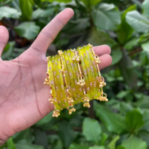 Kashmiri Ghunghroo Bangles Set | 16 Pieces Traditional Bangles – Shivratri Green